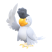 イキリンコ（white-plumage）