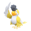 イキリンコ（yellow-plumage）
